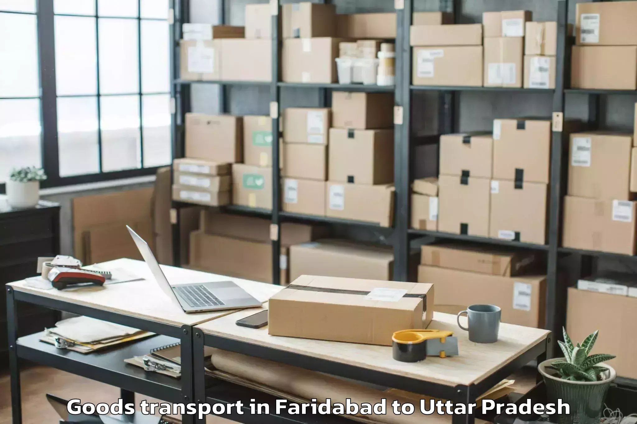 Top Faridabad to Amausi Airport Lko Goods Transport Available